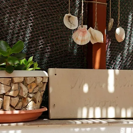 Miranda ヴェラ・ルカ